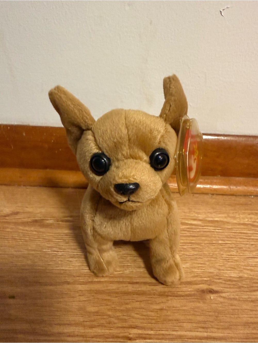 Ty Beanie Baby - TINY the Chihuahua Dog 5" NWT Plush Stuffed Animal Taco Bell